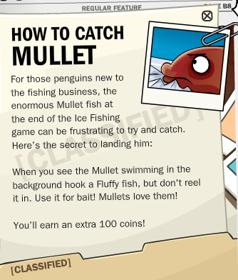 how to catch mullet
